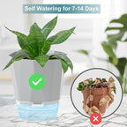 3 Pack Self Watering Flower Pots 6.5 Inch, Plant Pots - Image 5