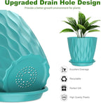 6 Pack 6 Inch Indoor Plant Pots - Image 3