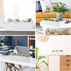 GREANER Long Window Boxes Planters, 6 Pack 16x3.8 Inch Vegetable Box Pot - Image 6