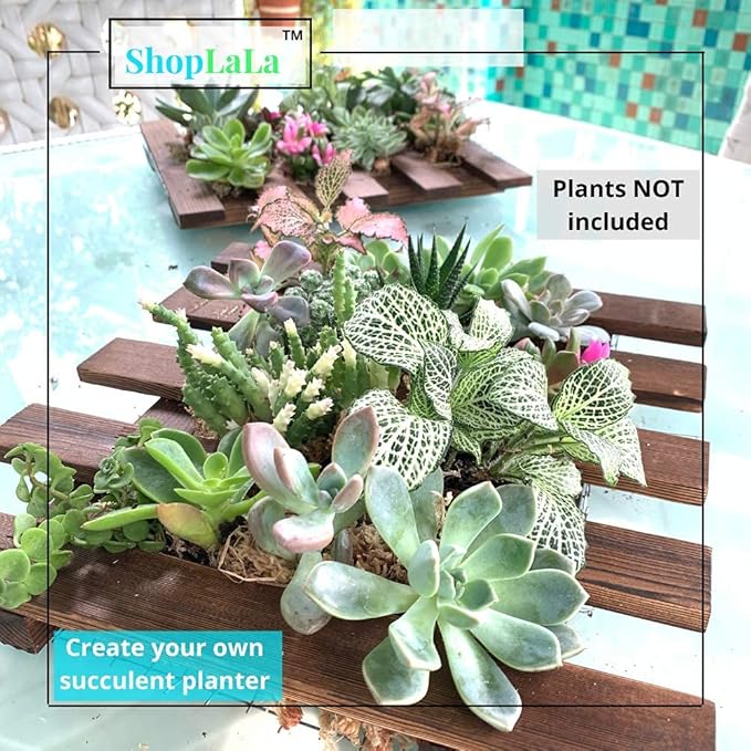 ShopLaLa Wall Planter - Image 3
