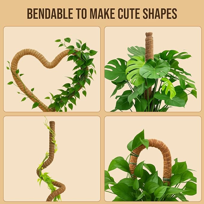 Moss Pole Monstera Plant Support – 48” Bendable Moss Pole Monstera Plant Support - Image 6
