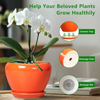 Indoor Plant Pot 8 Inch - Image 6