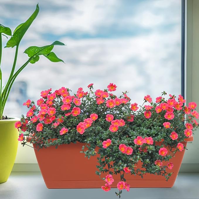8pcs Window Box Planter, 17 Inches Flower Window Boxes, Rectangle Planters Box - Image 3