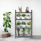 Plant Stand, 4 Tier Plant Shelf - Image 2
