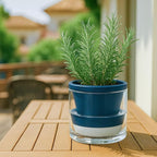 D'vine Dev 6 Inch Design Self Watering Planter - Image 7