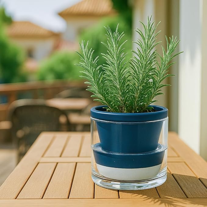 D'vine Dev 6 Inch Design Self Watering Planter - Image 7