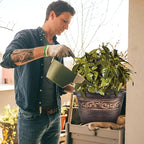 Plastic-Plant-Flower-Planters-16 Inch - Image 6