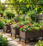 CloudDream 3Piece Brown Raised Garden Box Set, Flowers & Succulents. - Image 6