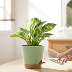 FaithLand 2-Pack 8 Inch Planter Pots - Image 6