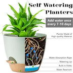 5-Pack Plant Pots with Drainage - Image 3