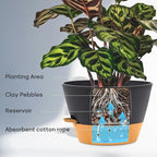 12-Inch Self Watering Planters - Image 4