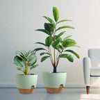 Big Self Watering Pots 12/10/9 inch, Plant Pots - Image 7