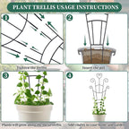 30 Inch Plant Trellis for Climbing Plants Indoor, Outdoor Metal Garden Trellis - Image 5