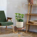 Plant Stand Indoor Outdoor, Mid Century Style Walnut Wood Color Plant Stand - Image 7