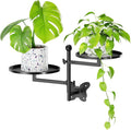 Rotating Window Wall Plant Shelves Indoor Wall Plant Stand Holder 2-Tier Floral by Gaoymsym