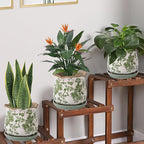 Ceramic-Planters-for-Indoor-Plants - Image 2