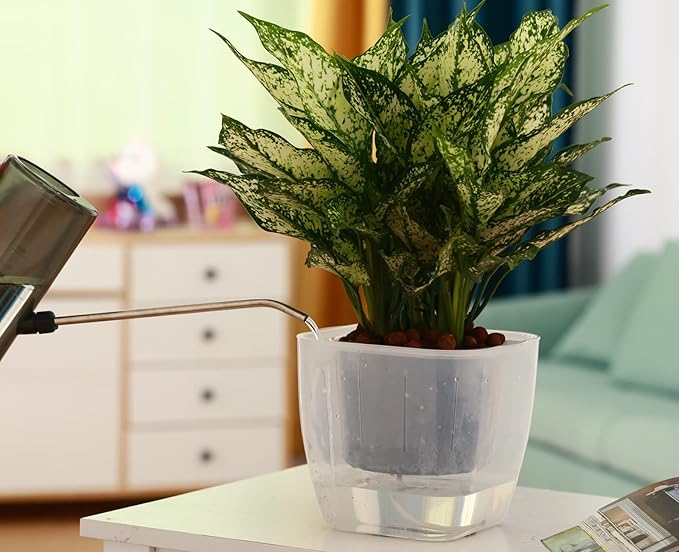 6-Pack 7 Inches Clear Self Watering Planters - Image 7