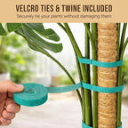 Moss Pole Monstera Plant Support – 48” Bendable Moss Pole Monstera Plant Support - Image 3