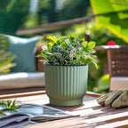 T4U 4.5 Inch Plant Pots Self Watering, 6 Pack African Violet Pots, Small Plant - Image 9