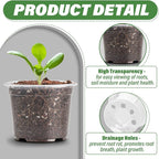 Clear Seedling pots 20 Pack 3.2 Inches Round - Image 3