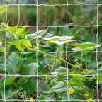 Tcamp Heavy-Duty Polyester Plant Trellis Netting 5 x 30ft - Image 2