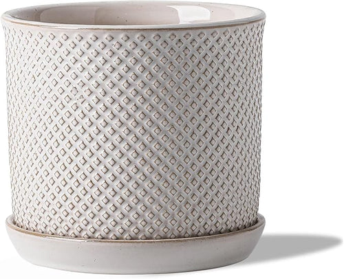 5.8 Inch Plant Pot: Ceramic Planter by Chubacoo