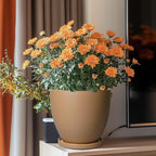 Ceramic Pots for Plants - Image 2