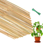 35Pcs Plant Stakes, Premium Natural Bamboo Garden Stakes, Bamboo Sticks Support by POLIUMB