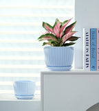 Ton Sin Sky Blue Ceramic Flower Pots, Modern Indoor Decorative Plant Pots Set - Image 6