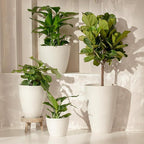 LA JOLIE MUSE 10 Inch Hanging Planters - Image 6