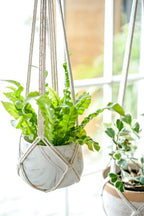 Dahey Macrame Plant Hanger Set of 3 - Image 4