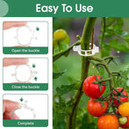 150 Pcs Plant Clips for Climbing Plants, Tomato Clips for Support, Plastic - Image 3