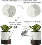Nihow Self Watering Plant Pot: 8 Inch Ceramic Planter - Image 3