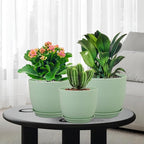 Large Plant Pots 12/10/9 inch, Flower Pots - Image 7