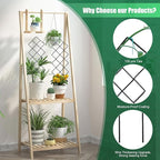 Metal Trellis for Climbing Plants Indoor, 16.36 inch Small Trellis for Potted - Image 2