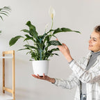 Grevosea 5 Pack Plant Support Stakes, Stackable Monstera Plant Supports - Image 7