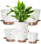 Self Watering Planter with Visual Water Level, Modern 8+7+6.5+6+5.5+5 Inch by Ezmixcoop