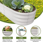 4x2x1ft Oval Galvanized Raised Garden Bed Outdoor 9-in-1 Large Metal Modular - Image 4