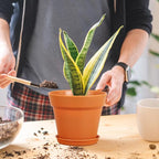 4 inch Small Plastic Nursery Pots, 16 Pack Plant Pots - Image 4