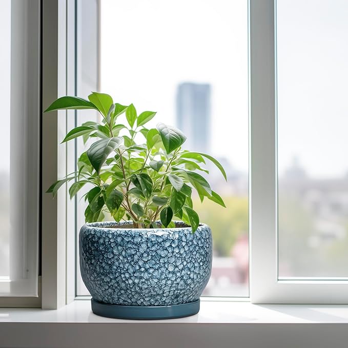 SQOWL Ceramic Planter - Image 4