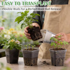 60 Pcs Clear Square Nursery Pots 4 Inch, Reusable Seedling Pots - Image 4