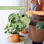 Watering Can Indoor Plants, 35oz Small Stainless Steel Metal Watering Can - Image 2