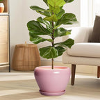 Ceramic Modern Glaze Succulent Planter Pot - Image 2