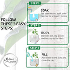 Ollas Plant Watering Globes - Image 4