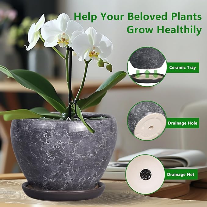 Ceramic Planters for Indoor Plants - Image 4