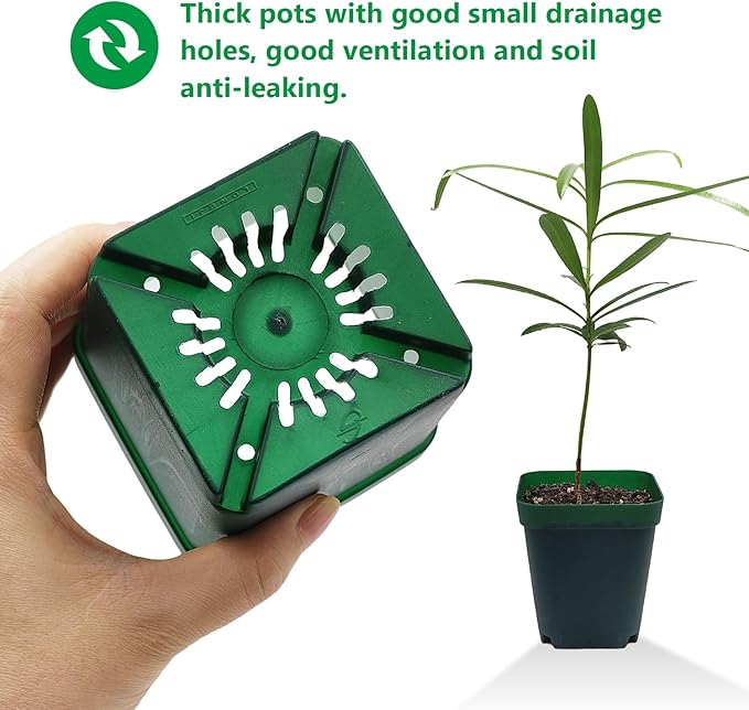 Square Nursery Seedling Pot 3.5 Inches 90 Pcs, Small Nursery Pot Plastic Thick - Image 5