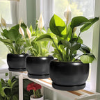 SQOWL Ceramic Plant Pot - Image 5