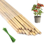 Plant Stakes 18inch, HAINANSTRY Plant Support Stakes by HAINANSTRY
