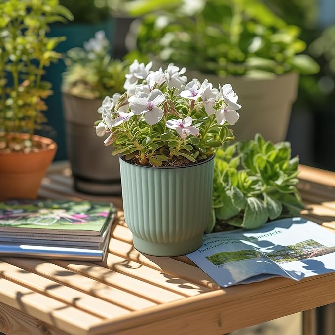 T4U 4 Inch Plant Pots Self Watering, 6 Pack African Violet Pots, Small Plant - Image 7