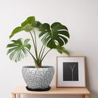 Ceramic Planter Pot - Image 7
